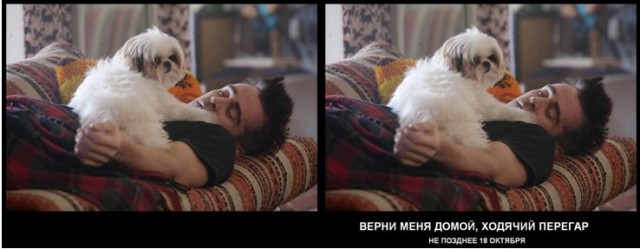 7 Психопатов хотят с тобой познакомиться!