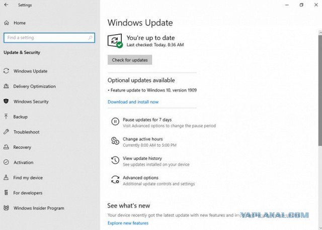 Ноябрьское обновление Windows 10 уже доступно — скорее набор заплаток, чем функций