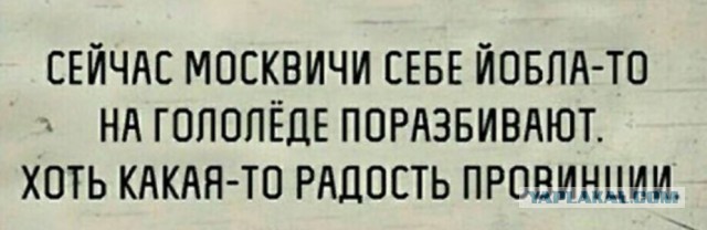 Митинг против московского мусора в Александрове