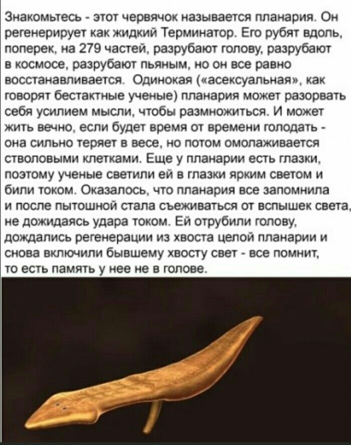 Бредзона 05.01.20