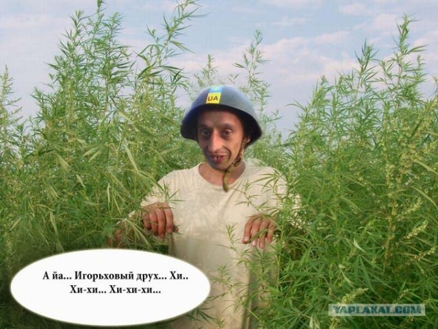 Анкета с сайта знакомств