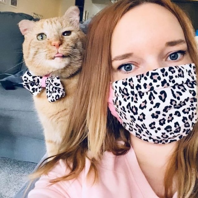 Спасение мистера Брюса Уиллиса – самого грустного кота