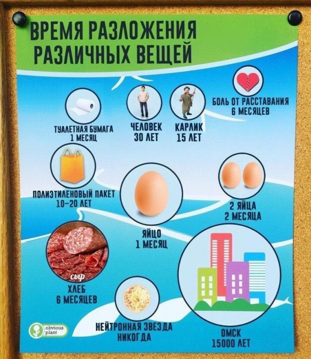 Хороший дизайнер на вес золота