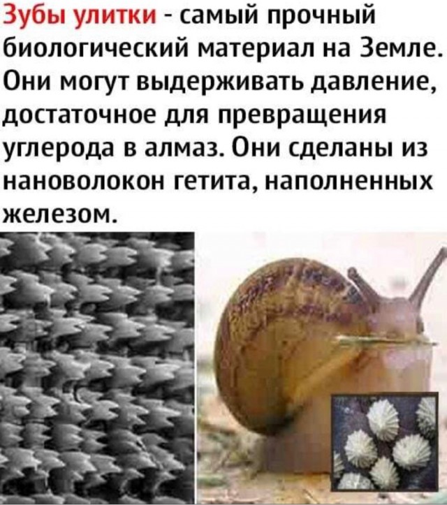 С миру по нитке на 22.01.21