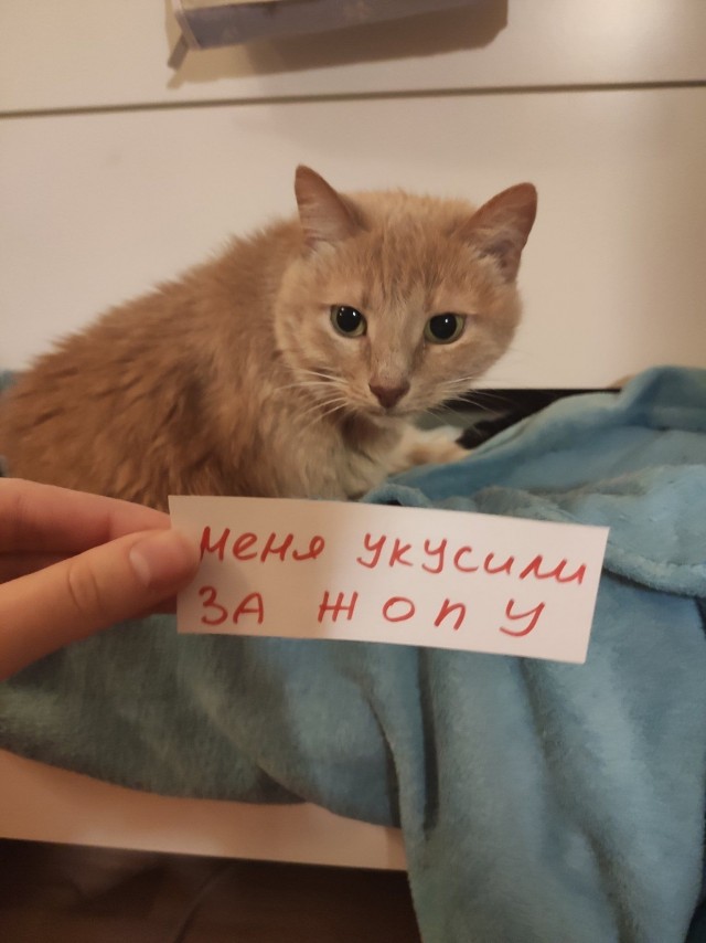 Добрые картинки 28.11.20