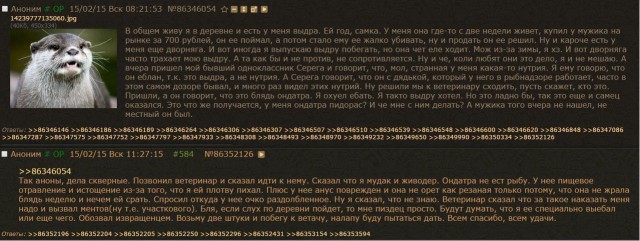 Ошеломительных историй пост