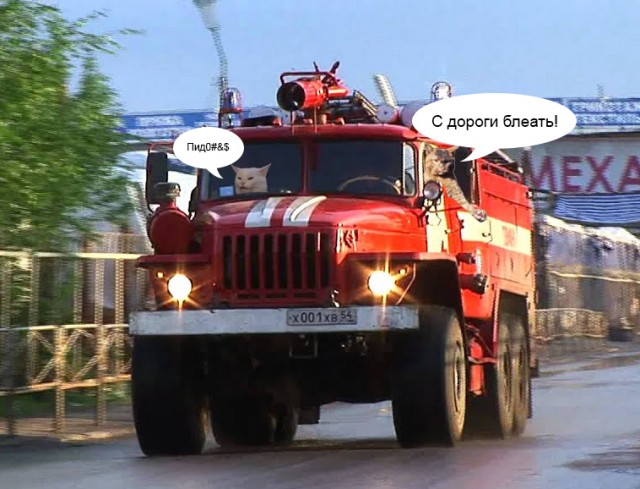 Сильный и независимый