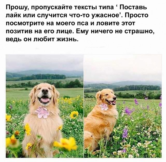 Картинки и мемы для настроения 023