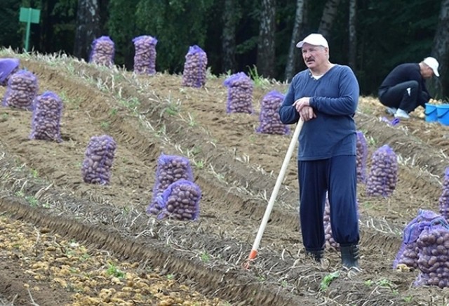 Живу в Беларуси