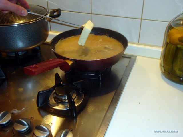 Пионерские почки
