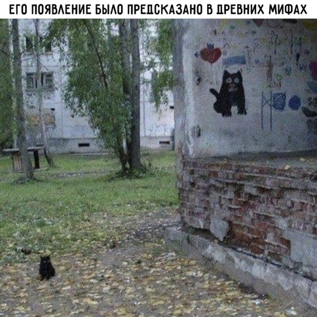 Весёлый полтишок 31.08