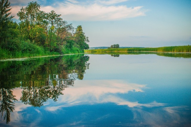 Моя мобильная фотография