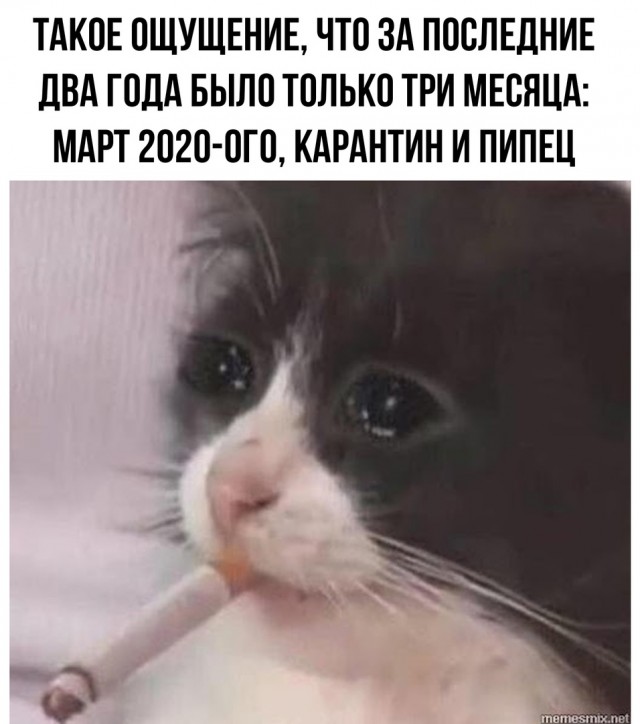 Так себе картинки 31.12.21