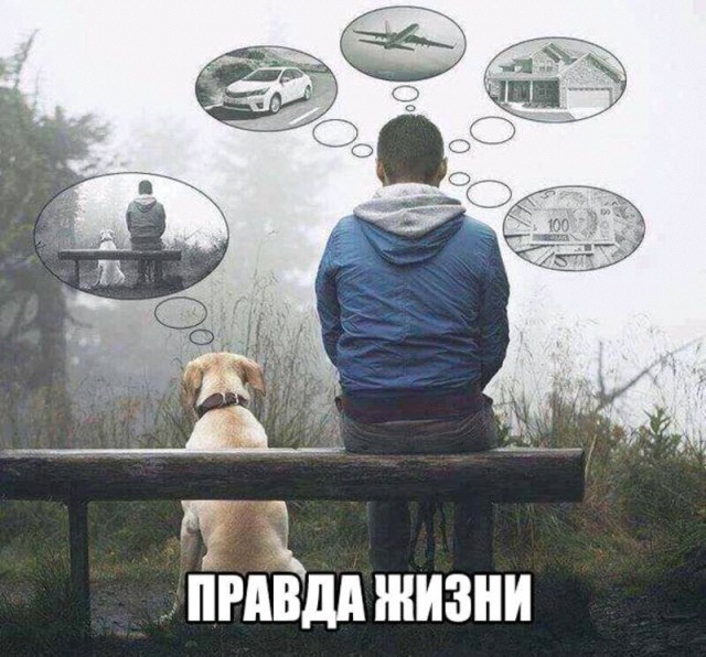 Картинки и мемы для настроения  - 27