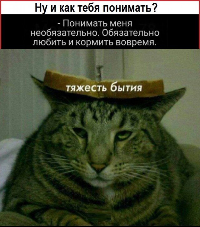 Картинки с надписями и всякие жизненные фразы