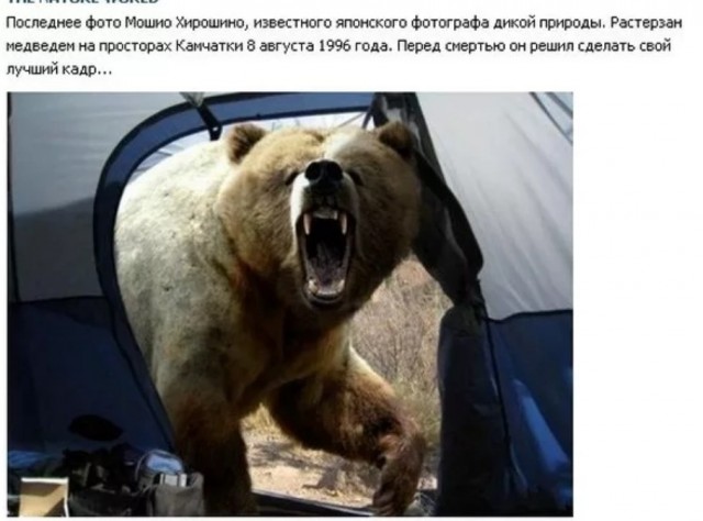 10 фото, которые могли стоить фотографам жизни