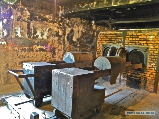 Мы и Тыгра. S.T.A.L.K.E.R.ы, через 12 стран