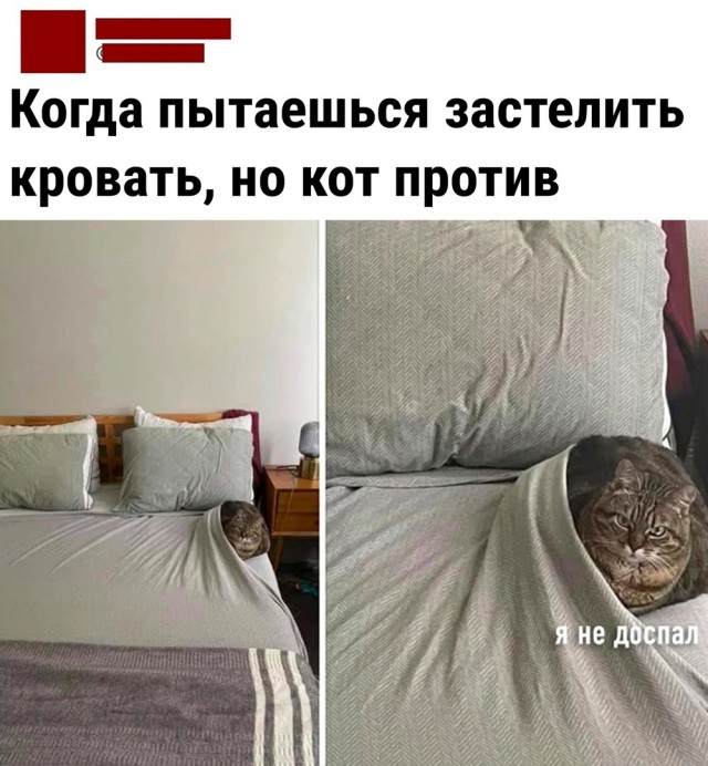 Так себе картинки 24.04.22
