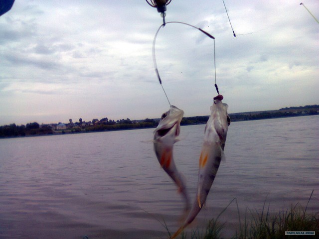 Рыбалки псто