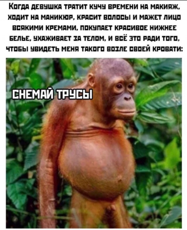 Юмор в картинках и без 19.10.2022