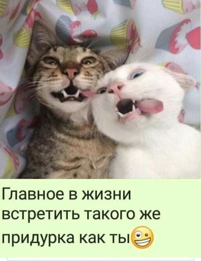 Прикольные и просто красивые картинки 01.11.22