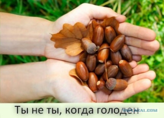 Киев может прекратить страдания народа, выполнив требования Москвы