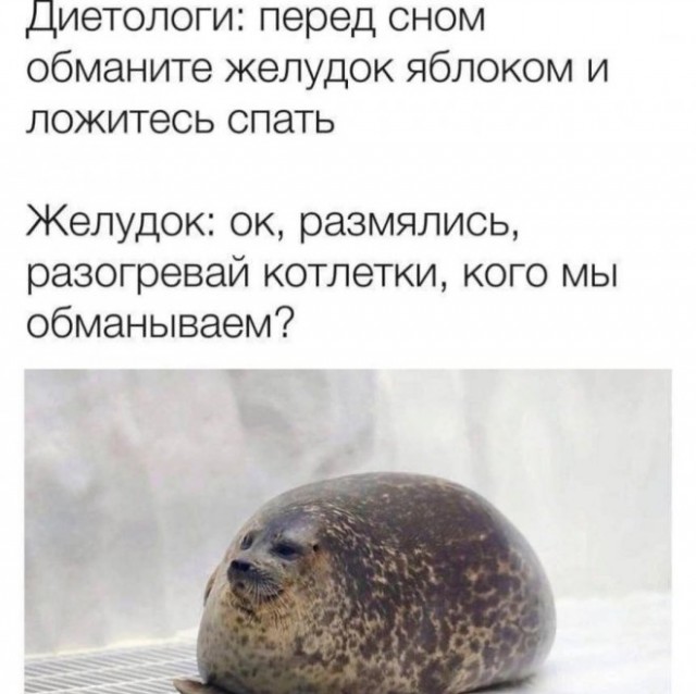 Картинки и мемы, всем хороших выходных