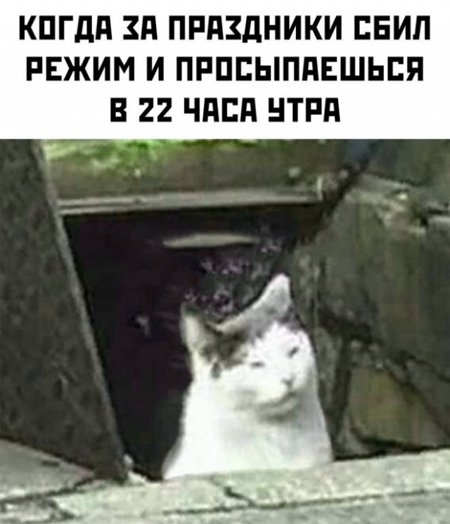 Картинки и мемы, выходные продолжаются