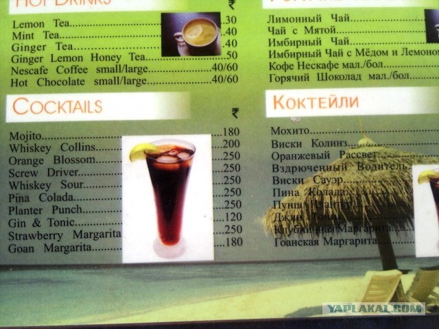 Фото отчёт о поездке в Индию.