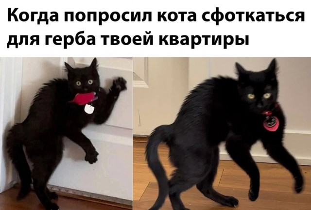 Картинки и мемы, всем хороших выходных