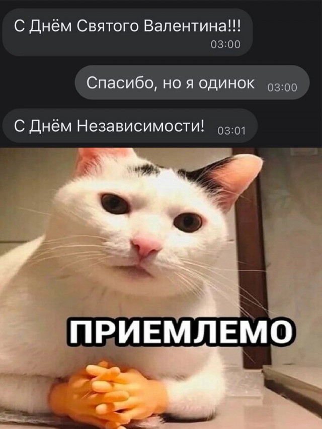 Нуштош 16.02.2023