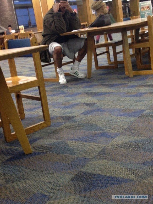 История грандиозного обмана