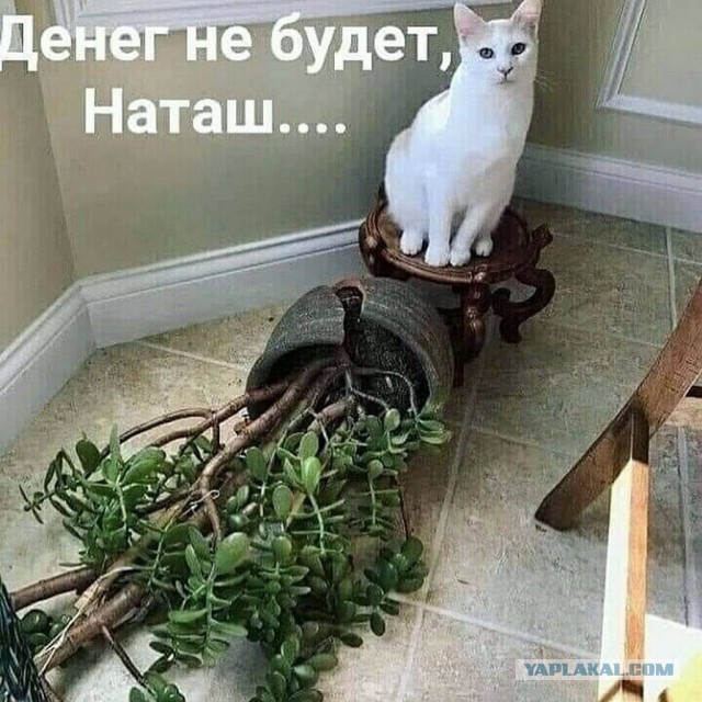 Мужчина просто обязан отказать женщине в сексе в 3-х случаях