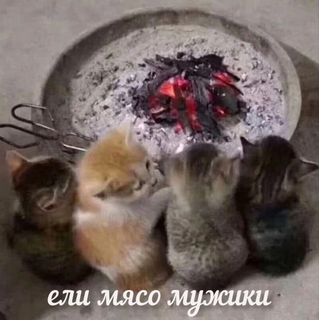 Нуштош 10.08.2023