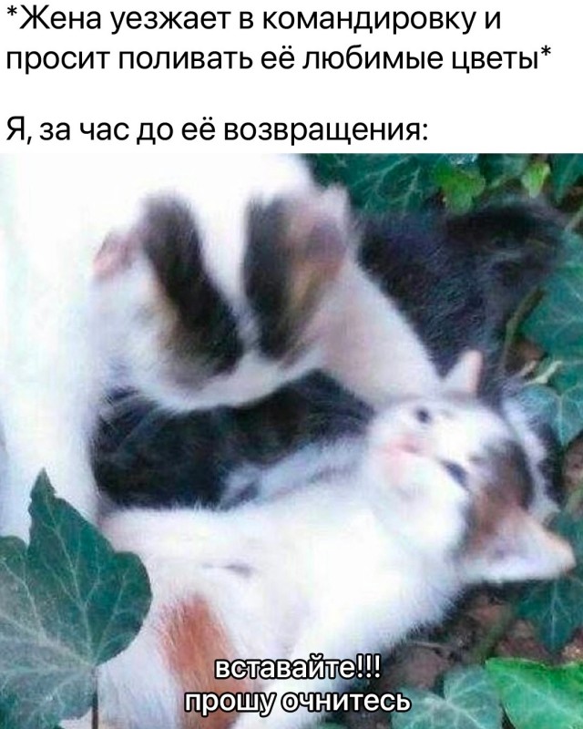 Всего понемногу. От 12.08