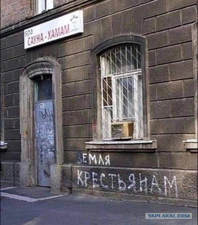 Забавные комментарии из социальных сетей (28.08.23)