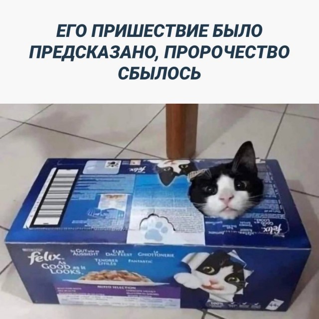 Картинки от Scodero 7