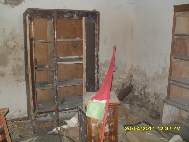 Чернобыль 2011