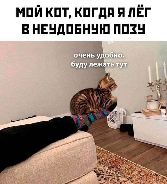 Весёлый полтишок 29.12.23