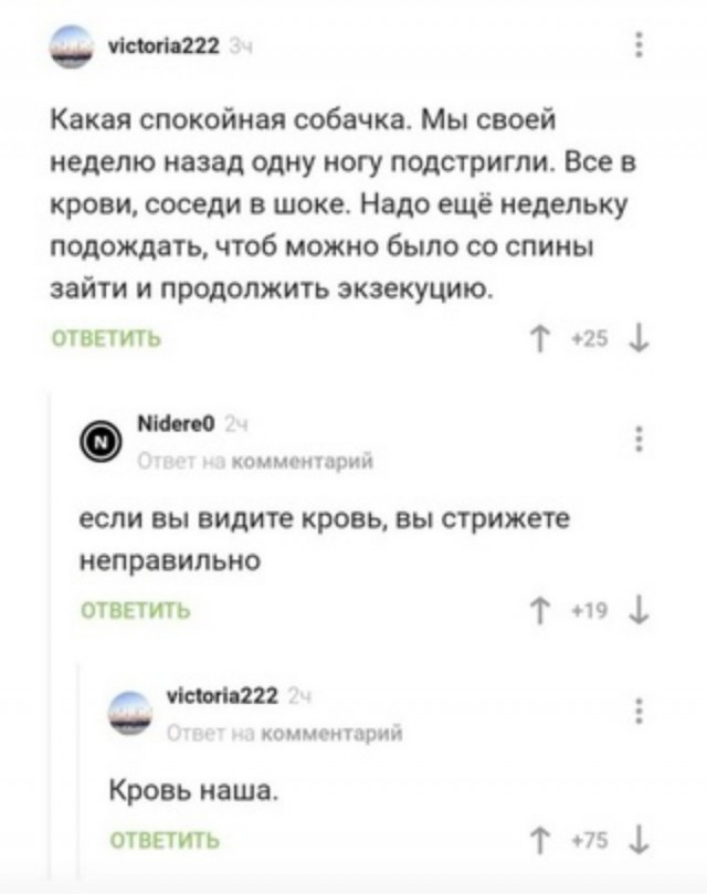 Весёлый полтишок 29.12.23