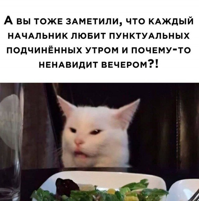 Народная меДИЧина 23