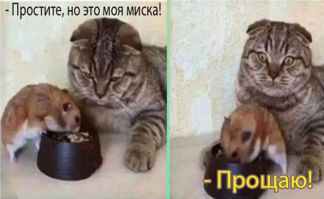 Так себе картинки 23.02.24