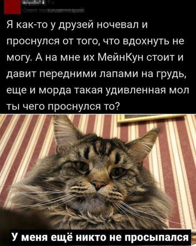 Отряд быстрого деградирования