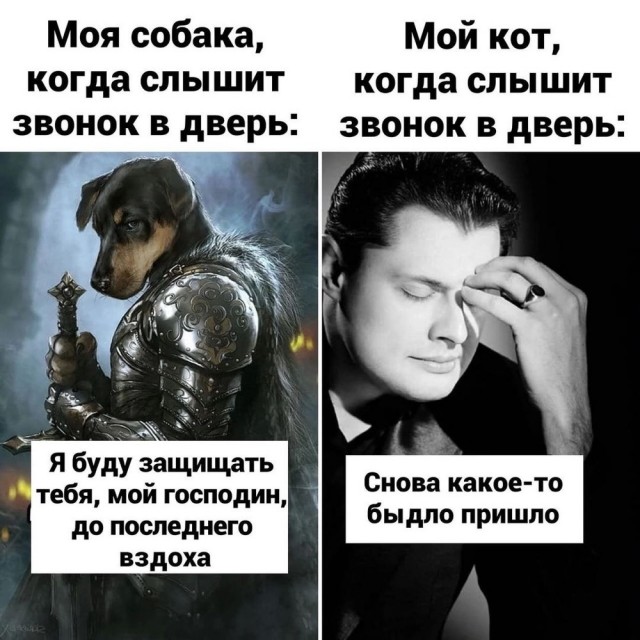 Отряд быстрого деградирования