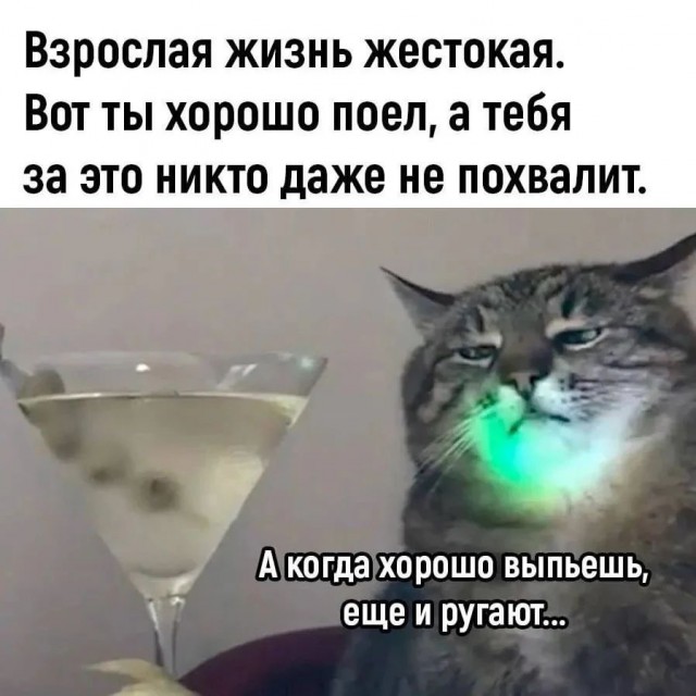 Отряд быстрого деградирования