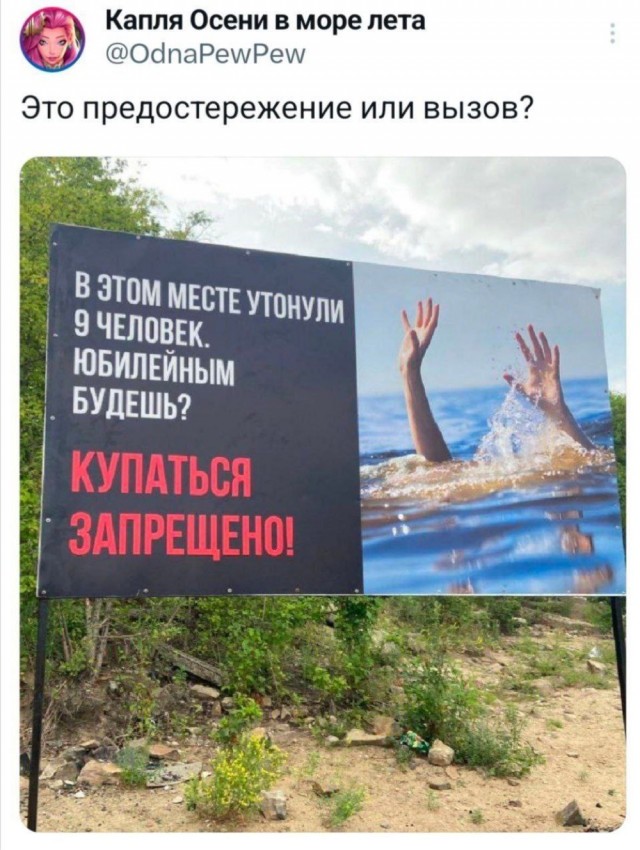 Немного забавных картинок от 22.08.2024