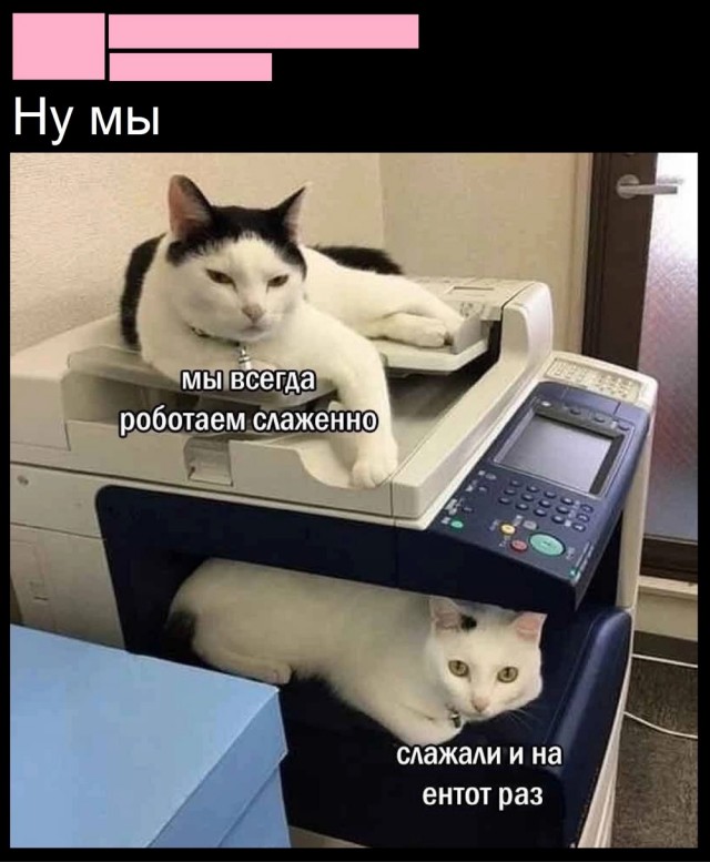 Завалялось тут случайно немного забавных картинок
