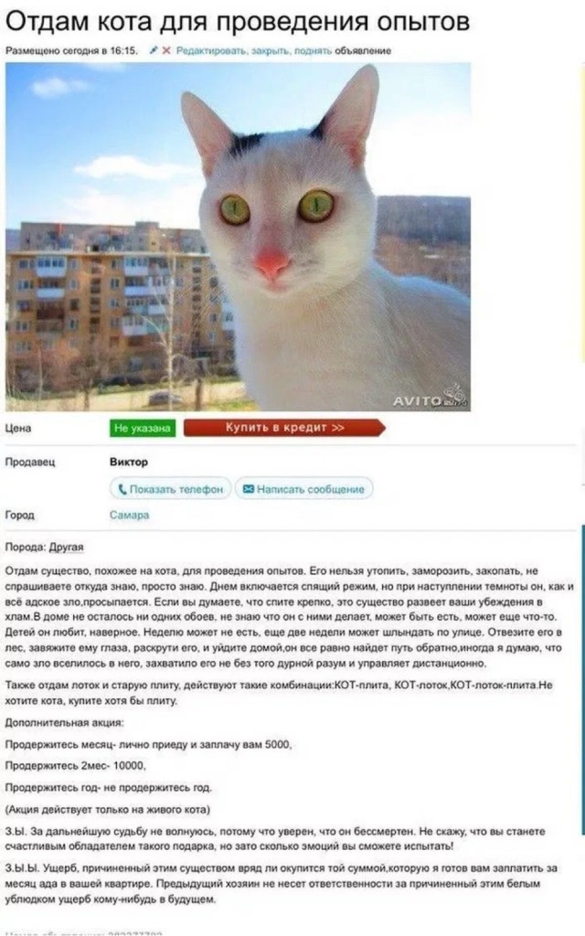 Жертва домашнего Василия