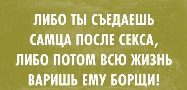 Весёлый полтишок 10.12.24