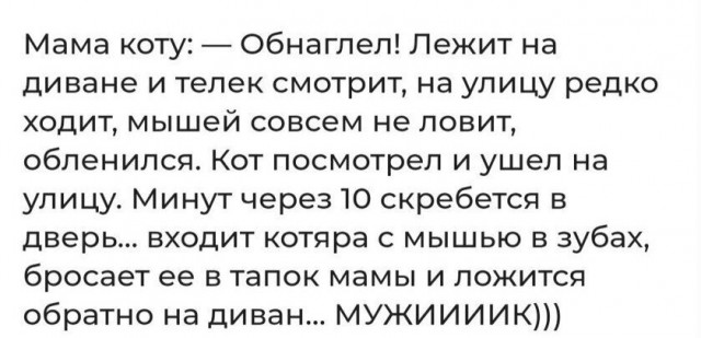 Веселые картинки в понедельник (27.01)